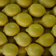 Лимон Primofiori с Испании